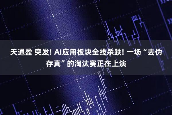 天通盈 突发! AI应用板块全线杀跌! 一场“去伪存真”的淘汰赛正在上演